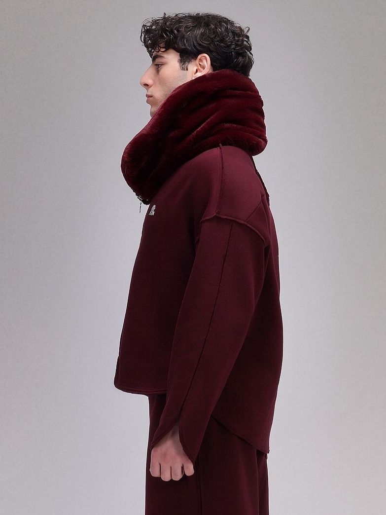 ASN Burgundy Hoodie