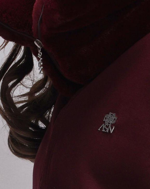 ASN Burgundy Hoodie